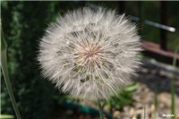 62cf8734-IMG_7380 nn.jpg